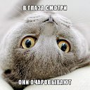 ���� ���, ������������ - ��������� 28 ������ 2015 � ������ ������ ��������