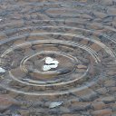 ���� ���������, ��������-������������, 43 ���� - ��������� 21 ��� 2015 � ������ ������ ��������