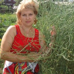 �����, �������, 53 ����