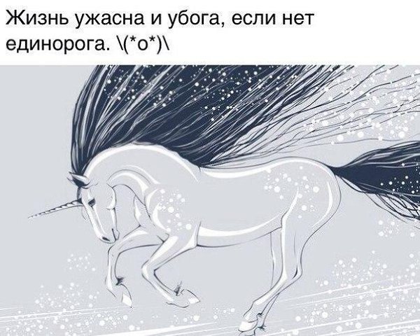 Magic the cookie - 12  2015  21:38