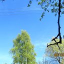 ���� ��������, ������� ��������, 24 ���� - ��������� 12 ��� 2015 � ������ ������ ��������