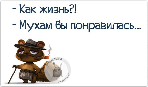 ������ ����� - 24 ���� 2015 � 14:17