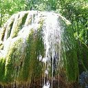 ���� ����, �����������, 59 ��� - ��������� 16 ���� 2015 � ������ ���� ����������