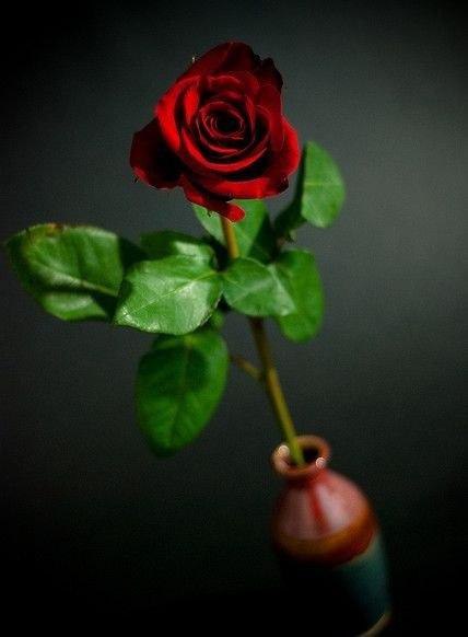 ...�����-����� ��� - 5