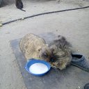 ������ ��� ����,�������� �� ����!! �� ������� ������� ���..�