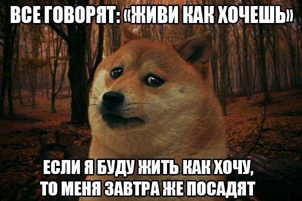    :D - 30  2015  09:17