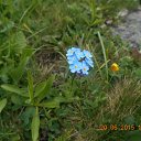 ���� ������, ����, 34 ���� - ��������� 27 ���� 2015 � ������ ������ ��������