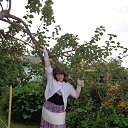 ���� �����, ��������� - ��������� 5 �������� 2015 � ������ ���� ����������