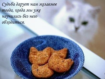Я тебя уже научил