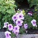  , - -  20  2015    .