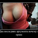 ���� ����, ����������� - ��������� 20 ��� 2015 � ������ �����������