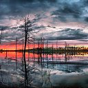 ���� �����, �����, 83 ���� - ��������� 17 ���� 2015 � ������ ������ ��������