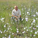 ���� ������, ���������, 79 ��� - ��������� 28 ������� 2015 � ������ ���� ����������