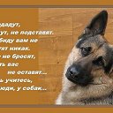 ���� ���������, ��������� - ��������� 10 ���� 2015 � ������ ������ ��������