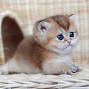 ���� ���������, ������, 45 ��� - ��������� 17 ������� 2015 � ������ ���� ����������