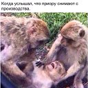 ���� �����, �����-���������, 54 ���� - ��������� 25 ���� 2015 � ������ ������ ��������