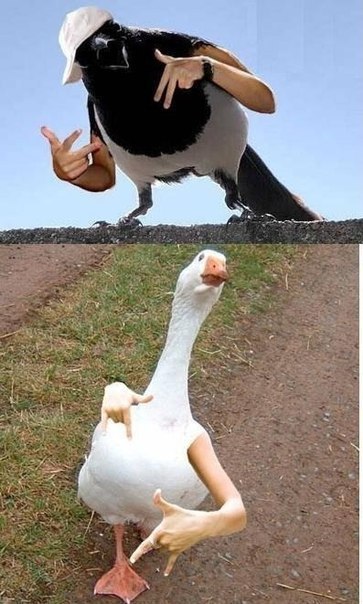  - 2