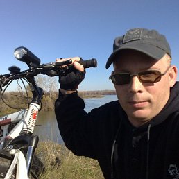 , 53 , 