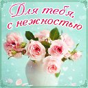 ���� ����))), ������������ - ��������� 31 ������� 2015 � ������ �������� ��������