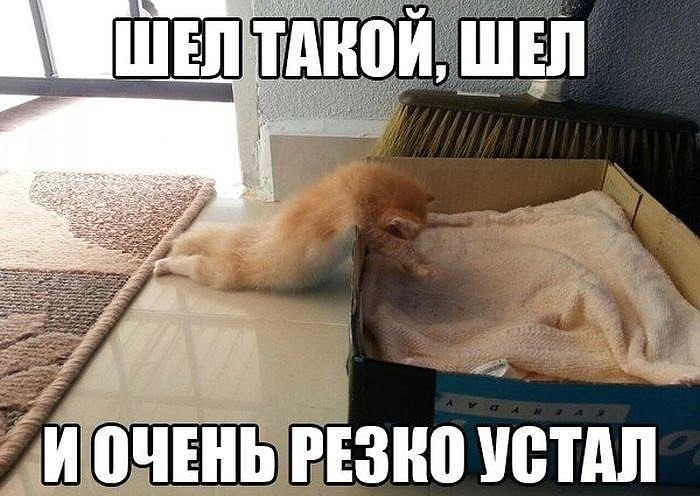 ��� - 25 ������ 2015 � 21:21