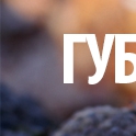 ���� �����, ������, 45 ��� - ��������� 25 ������ 2015 � ������ �������