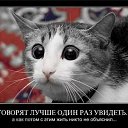  Wladimir, --, 67  -  4  2015    