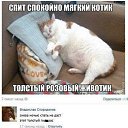 ���� Alexandr, ������������, 58 ��� - ��������� 7 �������� 2015 � ������ ������ ��������