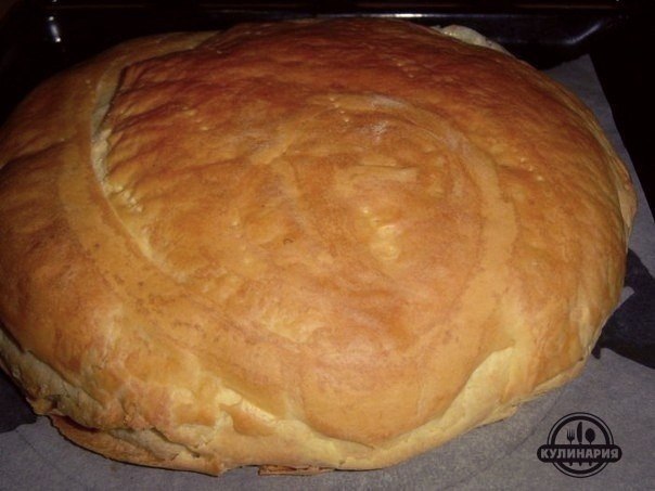 .  ,   ,   ,    -   ...