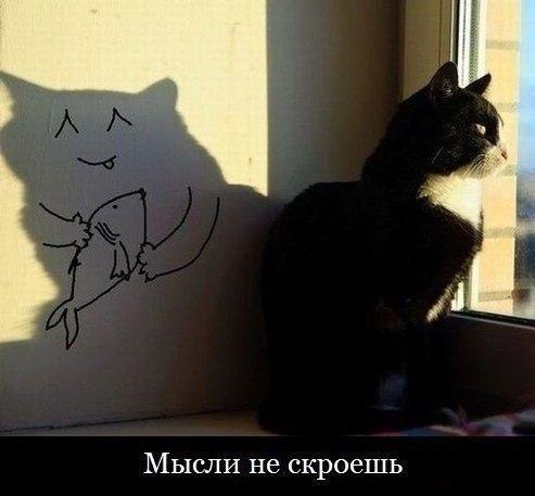       - 5  2015  23:37