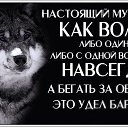  ~Isidora~,  -  15  2015    