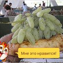 ���� ������, ���������, 49 ��� - ��������� 20 ���� 2015 � ������ �����