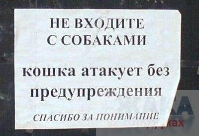     - 6  2015  00:40