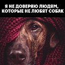 ���� ����, ������, 36 ��� - ��������� 17 ������� 2015 � ������ ������ ��������