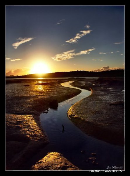 Jose Ramos - 11