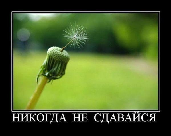 Примеры того, что нельзя опускать руки после неудачи. Знаменитые неудачи: 1. Майкл Джордан После ...