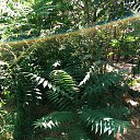 ���� �������, ������, 40 ��� - ��������� 31 ������� 2015 � ������ ���� ����