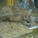 ���� ����, ������ - ��������� 15 �������� 2015 � ������ ���� ����������