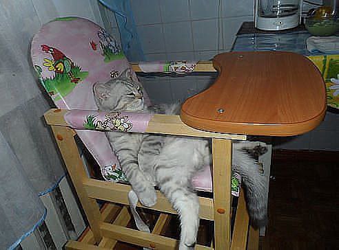 Таити.....Гаити.....Нас и здесь не плохо ..КОРМЯТ!!!)))