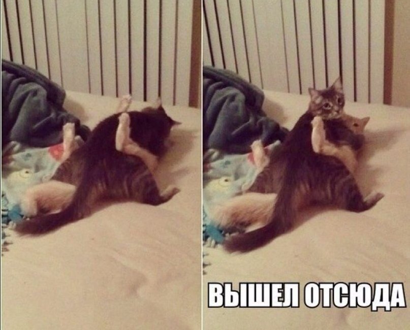    :-) - 5  2015  19:02