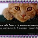 ���� ��������, ���� - ��������� 20 ���� 2015 � ������ ������ ��������