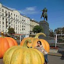  , -, 59  -  23  2015   .