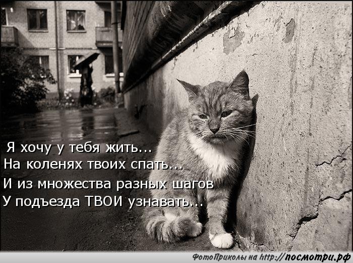      - 6  2015  07:30
