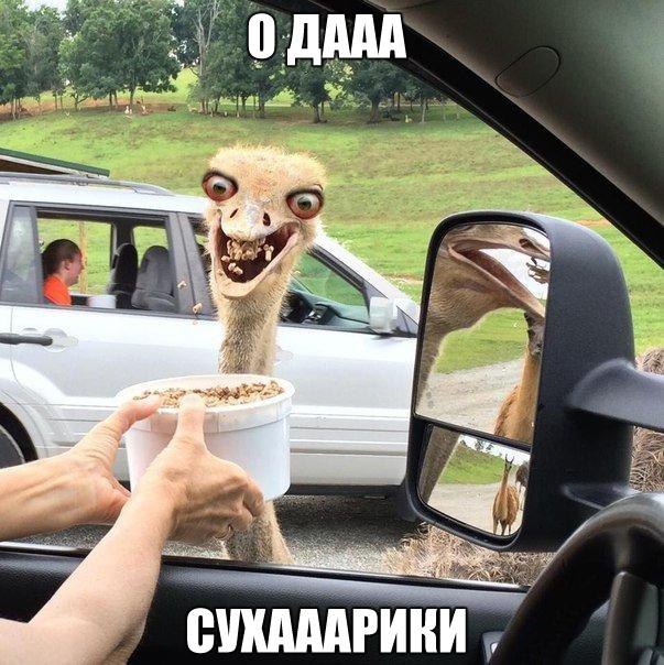   :D - 11  2015  16:57