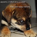 ���� ������, ��������� - ��������� 28 ���� 2015 � ������ ������ ��������