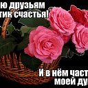 ���� ����, �����, 41 ��� - ��������� 12 �������� 2015 � ������ �Optimus Live.�