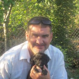 ������, ����������, 46 ���