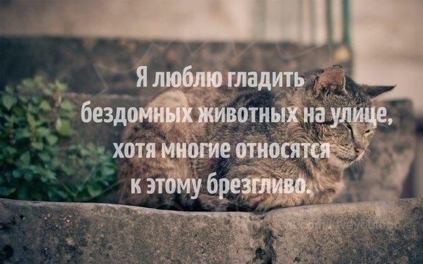   - 30  2015  23:00