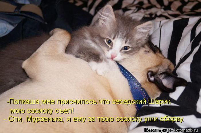   ,  