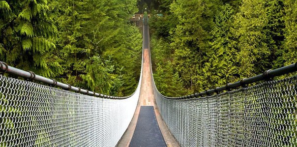     . (Capilano Suspension Bridge)    , ... - 7