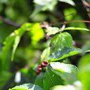 ���� Yuri, �������, 54 ���� - ��������� 5 �������� 2015 � ������ �5.09.2015.����� ����� � ����������--> "�����������"--> ����-->7-�� ����---->��� ����� -24 �����